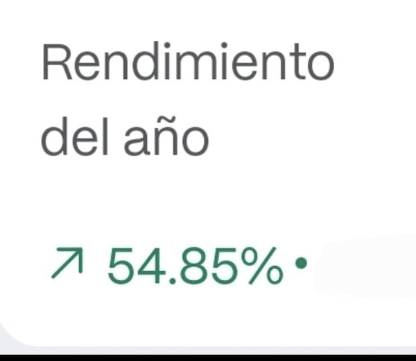 Rendimiento del año 2024: 54.85%